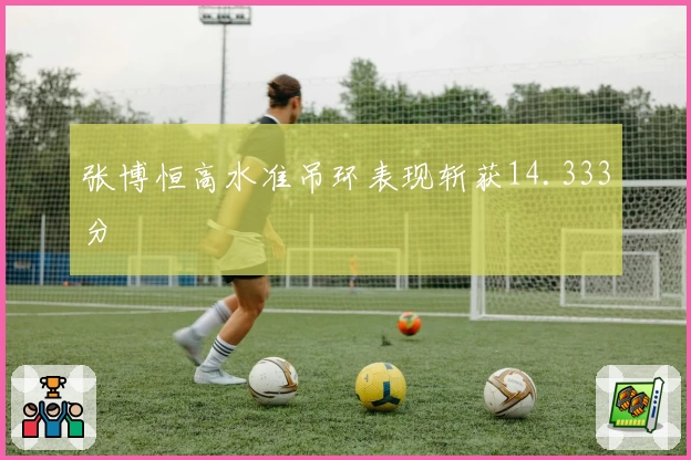 张博恒高水准吊环表现斩获14.333分