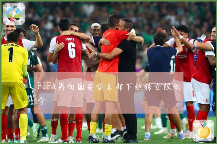 FIFA再向国安俱乐部下达转会限制令