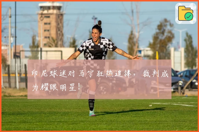 印尼球迷对马宁狂热追捧，裁判成为耀眼明星！