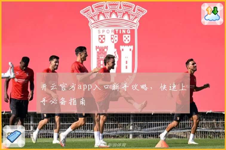 开云官方app入口新手攻略，快速上手必备指南